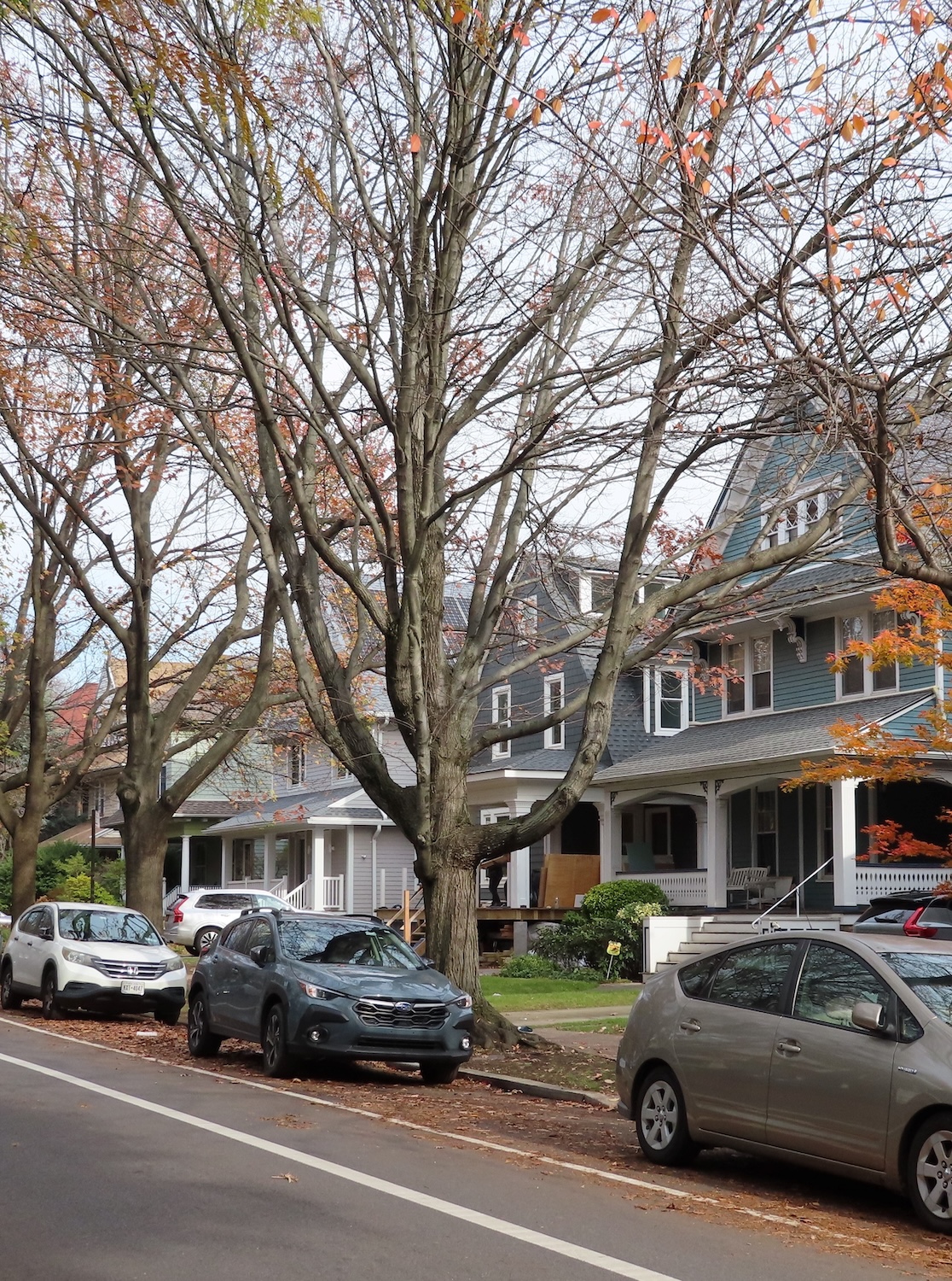 LPC Designates Two New Historic Districts In Flatbush, Brooklyn